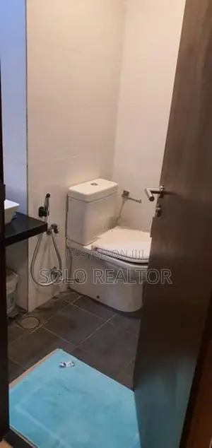 2 Bedroom Apartment For Rent In Colombo 3
