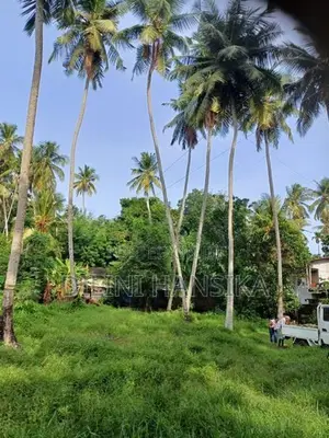 Land for Sale Wadduwa