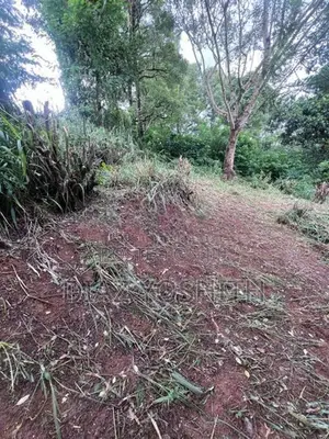 Kandy Land For Sale Pay In 3 Premiums
