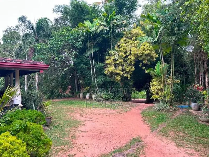 Land with House for Sale Pannala