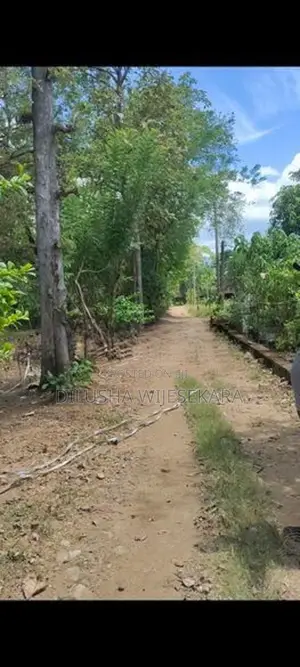 Land for Sale in Mahiyanganaya