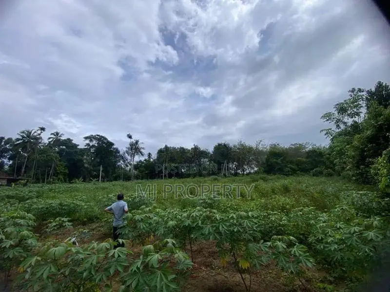 ( TS-1170) Valuable Residential Bare Land Sale in Padukka