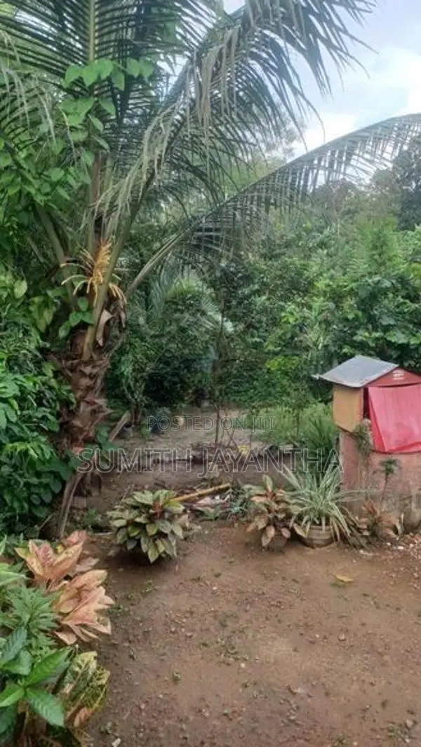 නිවස සහ ඉඩම විකිණීමට හංවැල්ල