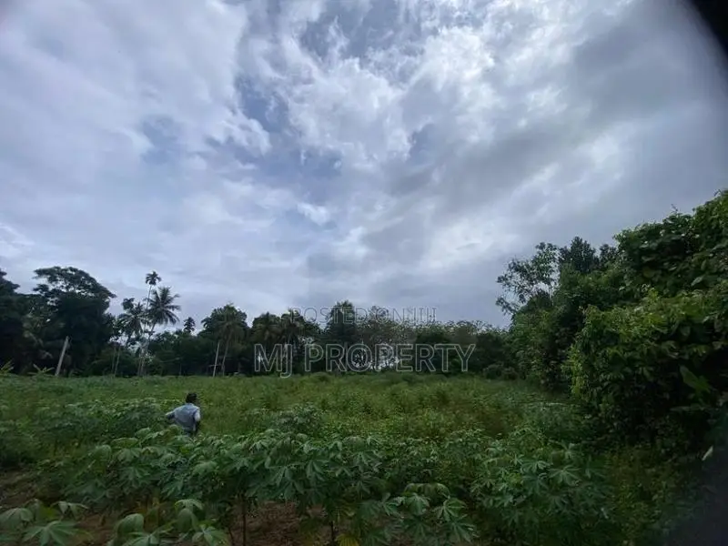( TS-1170) Valuable Residential Bare Land Sale in Padukka