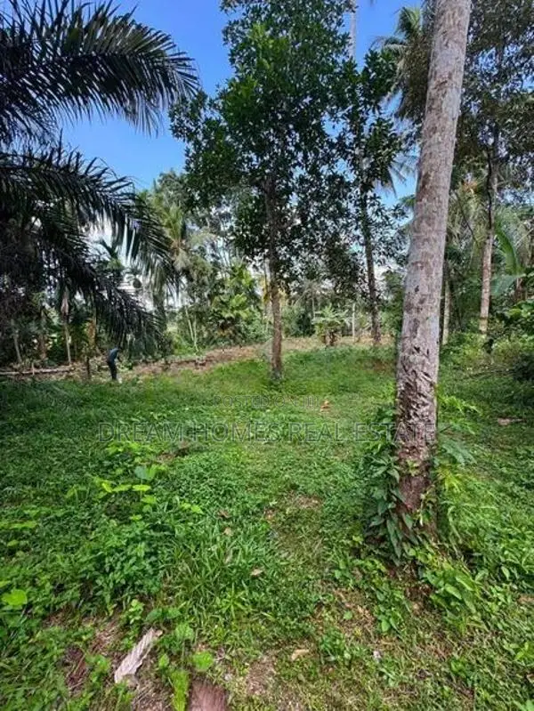 Land for Sale in Homagama – Pitipana South