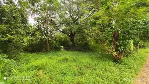 Land for Sale in Mahiyanganaya
