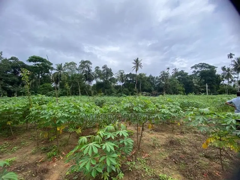 ( TS-1170) Valuable Residential Bare Land Sale in Padukka