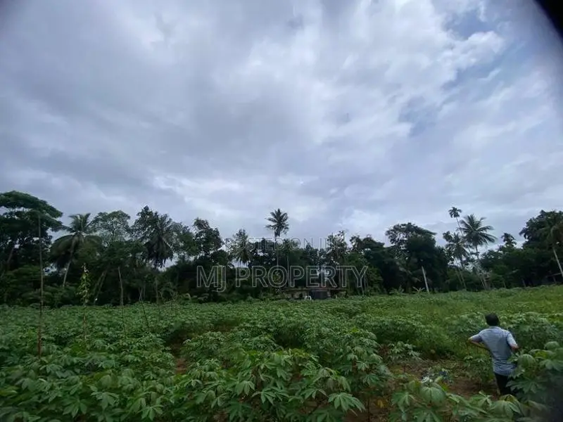 ( TS-1170) Valuable Residential Bare Land Sale in Padukka