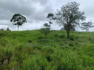 Land for Sale Gampola-Pussellawa