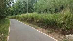 ගම්මිරිස් ඉඩම විකිණීමට