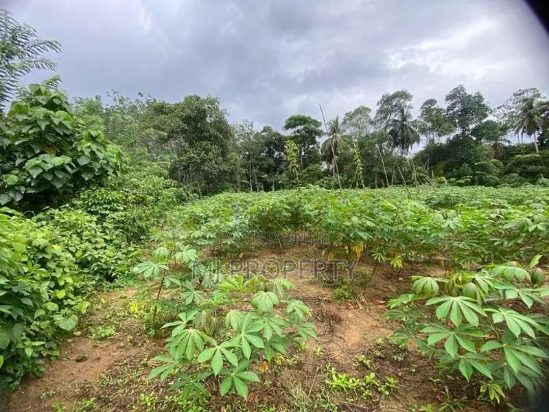( TS-1170) Valuable Residential Bare Land Sale in Padukka
