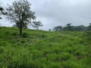 Land for Sale Gampola-Pussellawa
