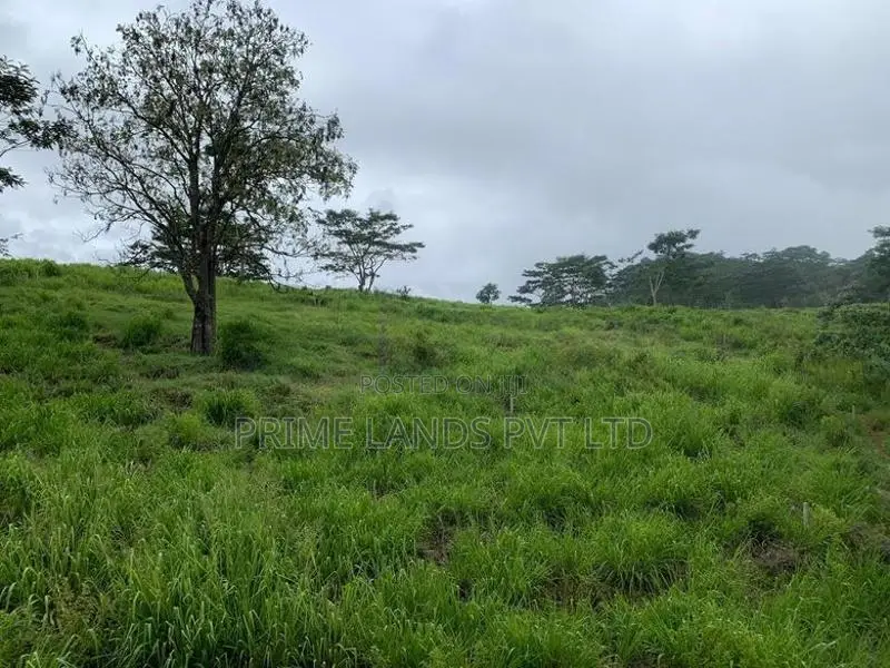 Land for Sale Gampola-Pussellawa