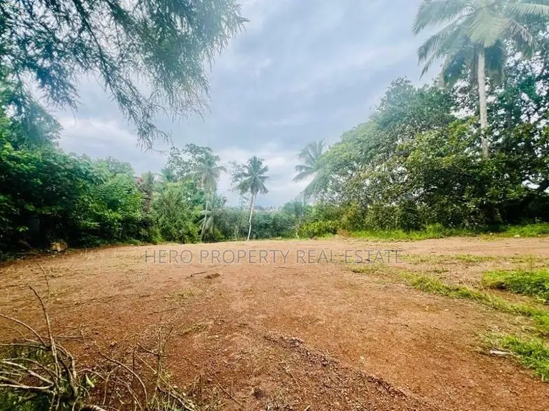 2 Acres Land for Rent in Kottawa