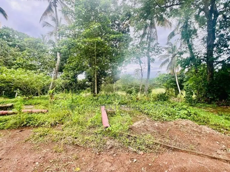 2 Acres Land for Sale in Kottawa