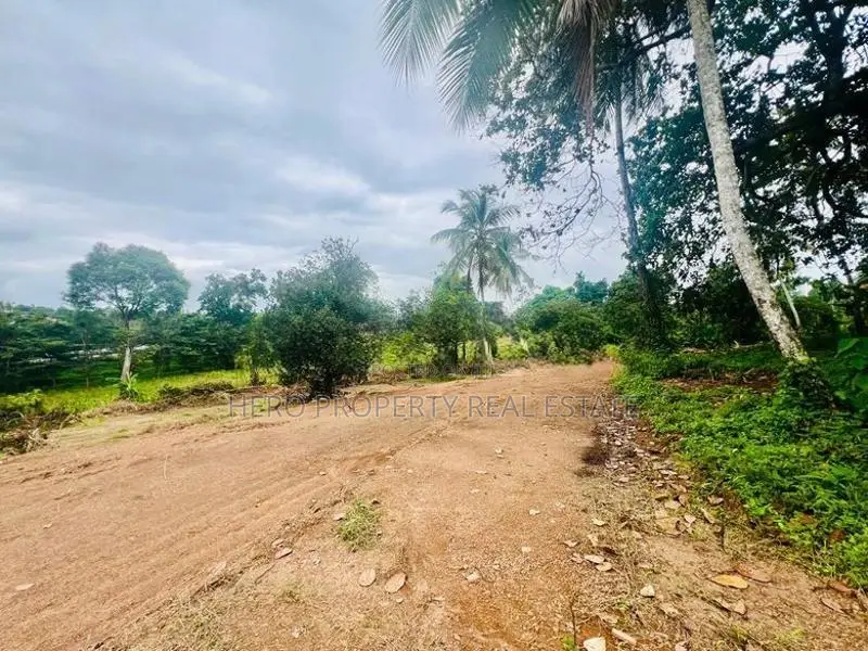 2 Acres Land for Sale in Kottawa