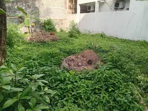 Valuable Land for Sale in Rathmalana