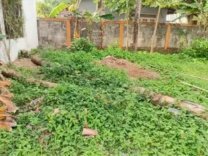 Valuable Land for Sale in Rathmalana