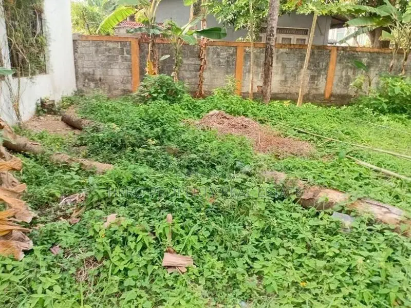 Valuable Land for Sale in Rathmalana