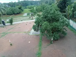 කැස්බෑව නගරයට ආසන්නයෙන් වටිනා ඉඩමක්.