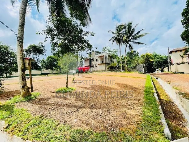 කැස්බෑව උසාවිය ළගින් වෙල් යායකට මුහුණලා වටිනා බිමි කොටස්