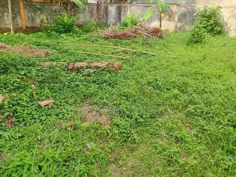 Valuable Land for Sale in Rathmalana