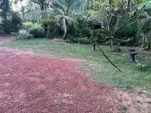Small Land for Sale Imbulgoda