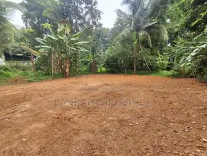 Commercial cum Residential Property for Sale Thammita.