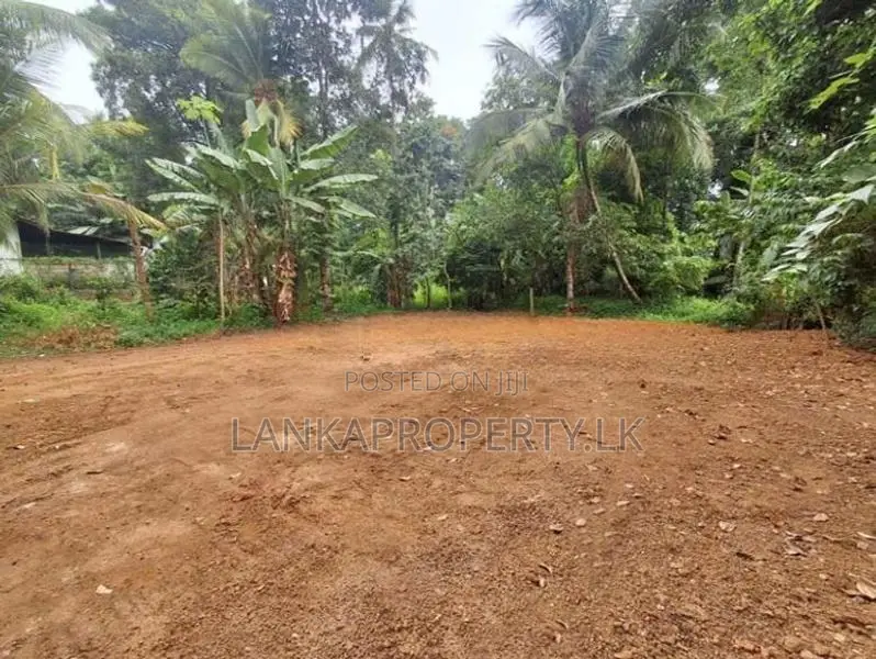 Commercial cum Residential Property for Sale Thammita.