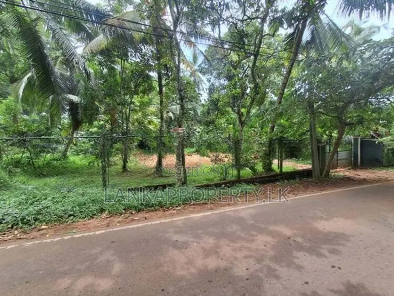 Commercial cum Residential Property for Sale Thammita.