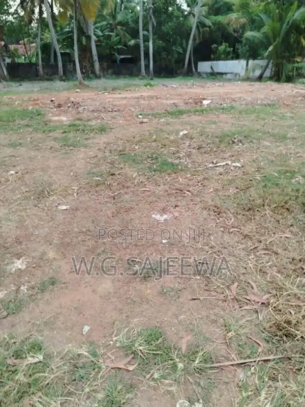 58 Perch Land for Sale in The, Negombo