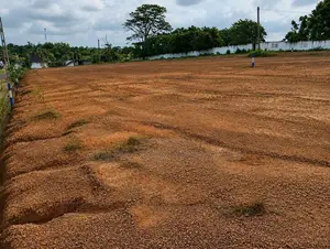 Land for Sale in Kindelpitiya Kesbewa