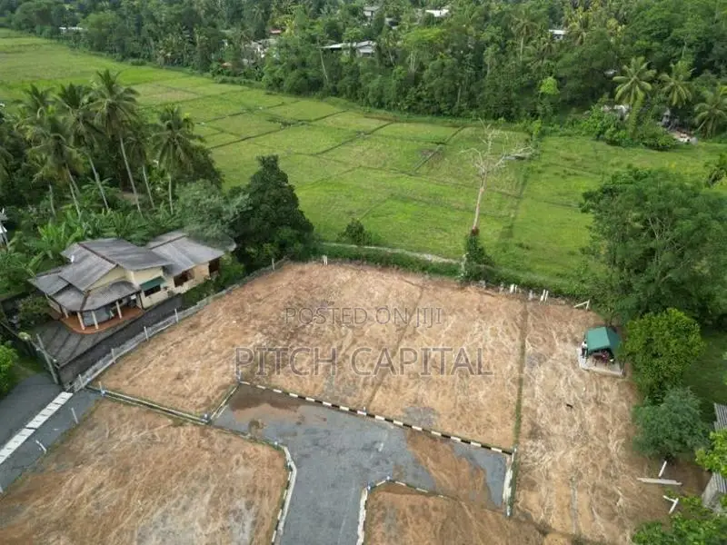 Galagedara Beautiful Paddyfield Lands for Sale