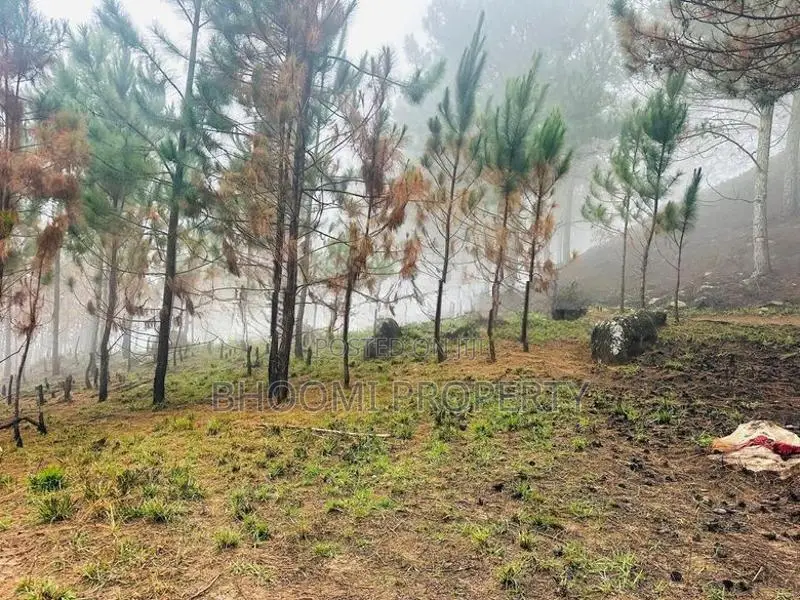 Beautiful Land Plots Sale in Ella