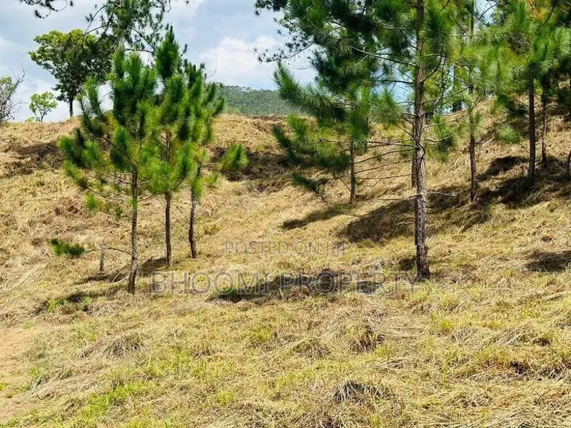 Beautiful Land Plots Sale in Ella