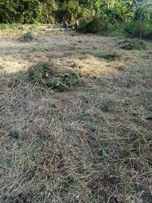 Land for sale in Kaduwela