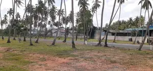 කුරුණෑගල පුත්තලම් පාරෙන් පදිංචියට ඉඩමක්