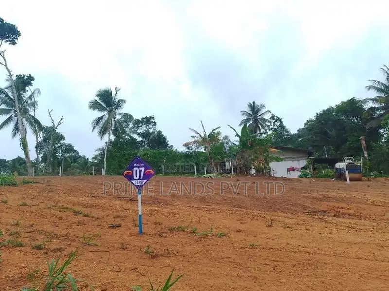 Lands for Sale in Aluthwala