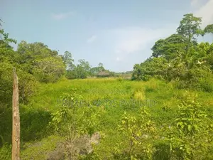 Lands for Sale in Ambalangoda