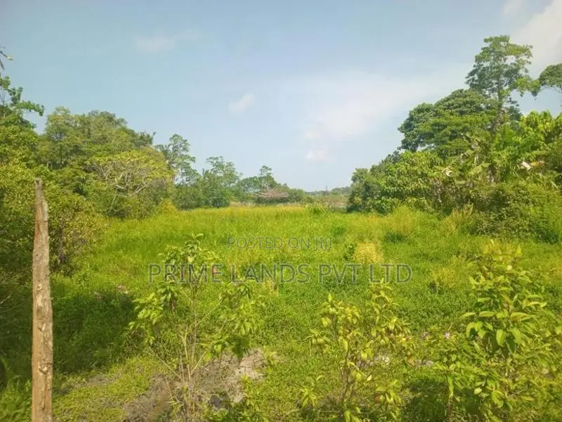 Lands for Sale in Ambalangoda