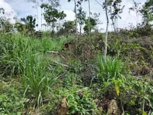 මාතර කණංකේ ප්‍රදේශයෙන් පර්චස් 160ක ඉඩමක් විකිණීමට