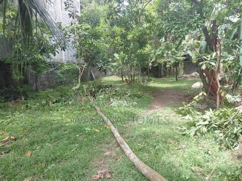 Excellent Land for Sale Talawathugoda