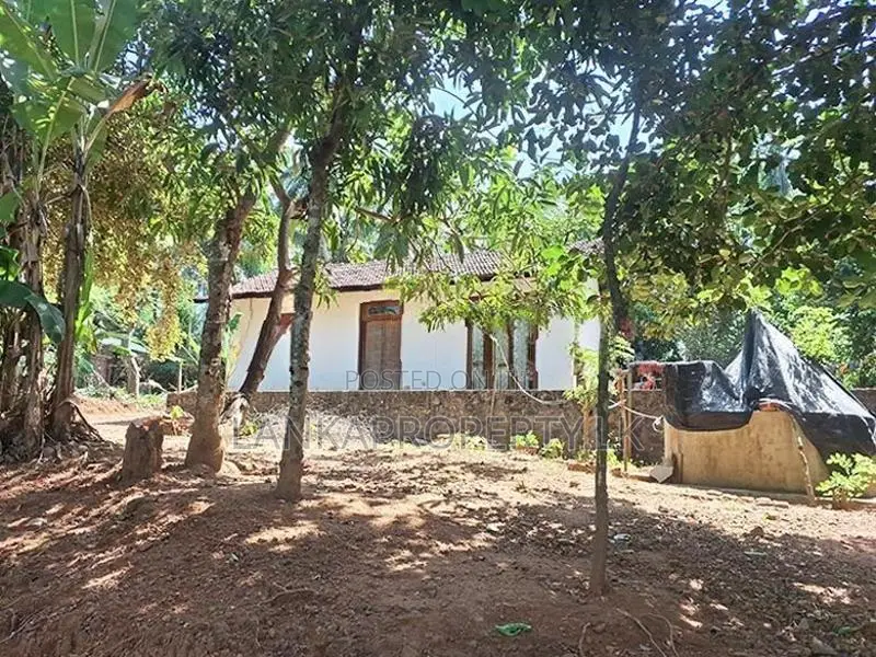 Basic House for Sale – Thammitawatte, Hunumulla (Badalgama)