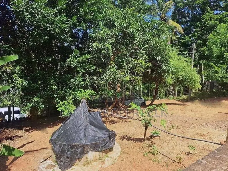 Basic House for Sale – Thammitawatte, Hunumulla (Badalgama)