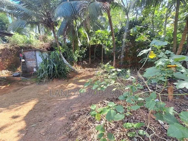 Basic House for Sale – Thammitawatte, Hunumulla (Badalgama)