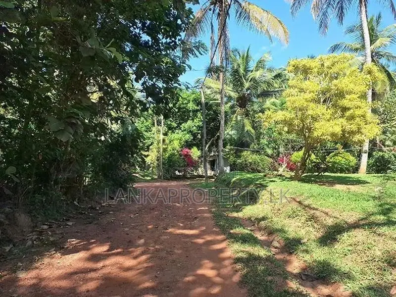Basic House for Sale – Thammitawatte, Hunumulla (Badalgama)