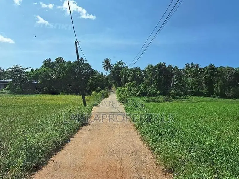 Basic House for Sale – Thammitawatte, Hunumulla (Badalgama)