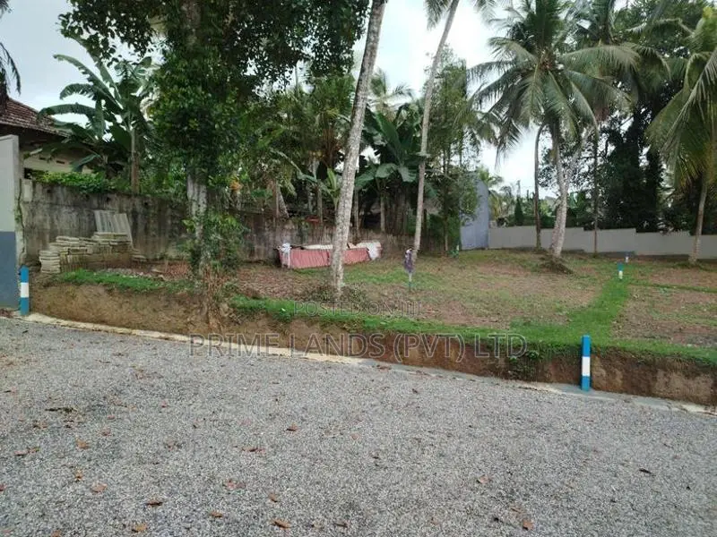 හෝමාගමින් බිම් කොටස් විකිණීමට