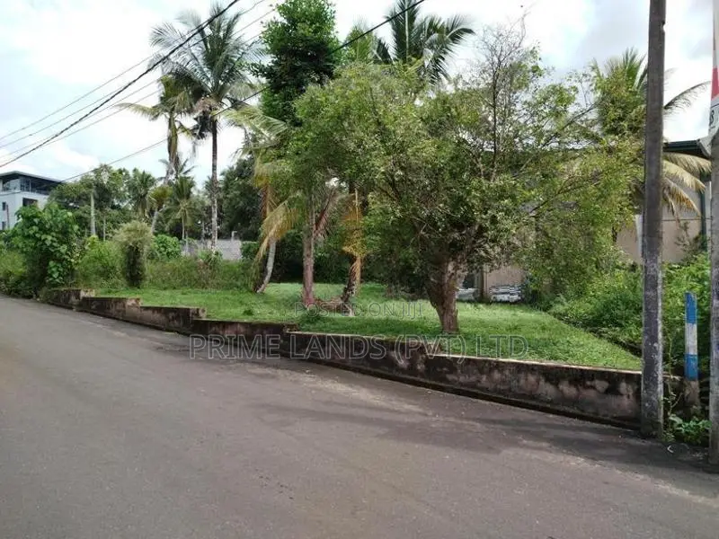 මාලඹේ චන්ද්‍රිකා කුමාරතුංග මාවතෙන් බිම් කොටස් විකිණීමට