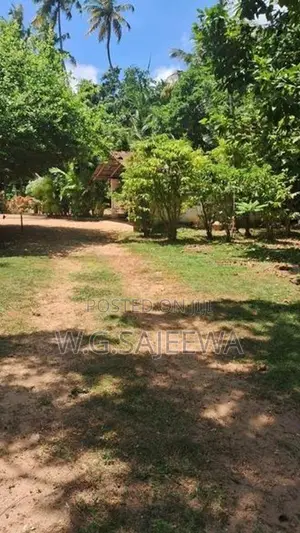 295 Perch Land for Sale in Katuneriya